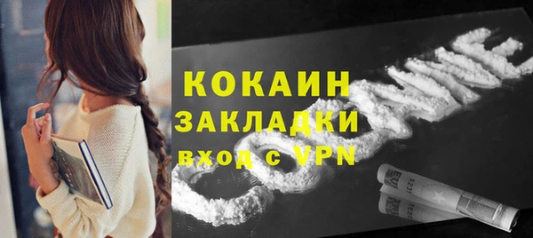 хмурый Инта