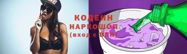 хмурый Инта