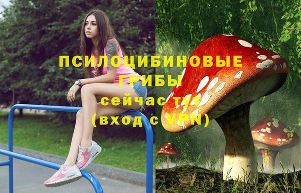 MDMA Premium VHQ Инсар