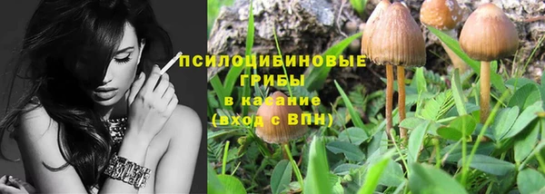 хмурый Инта